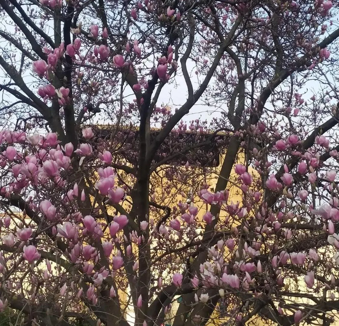 Firenze Alla Porta Coi Sassi 0*,  Olaszország